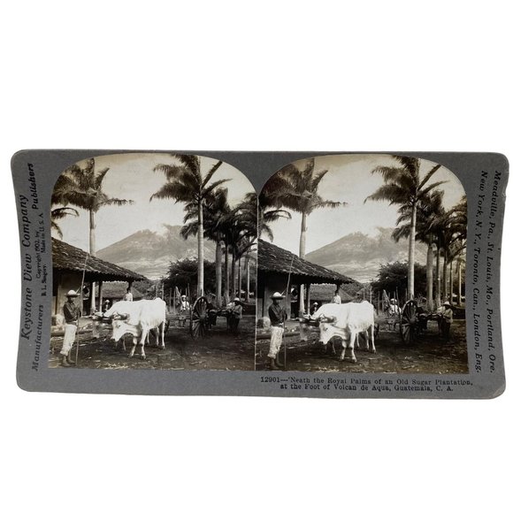 Antique 1905 Stereoview Photo Card Sugar Royal Palms Volcano de Aqua Guatemala - Picture 2 of 7